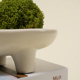 Odette Oval Ceramic Display Bowl