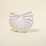 Strand Scalloped Conch Vase