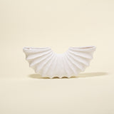 Strand Scalloped Conch Vase