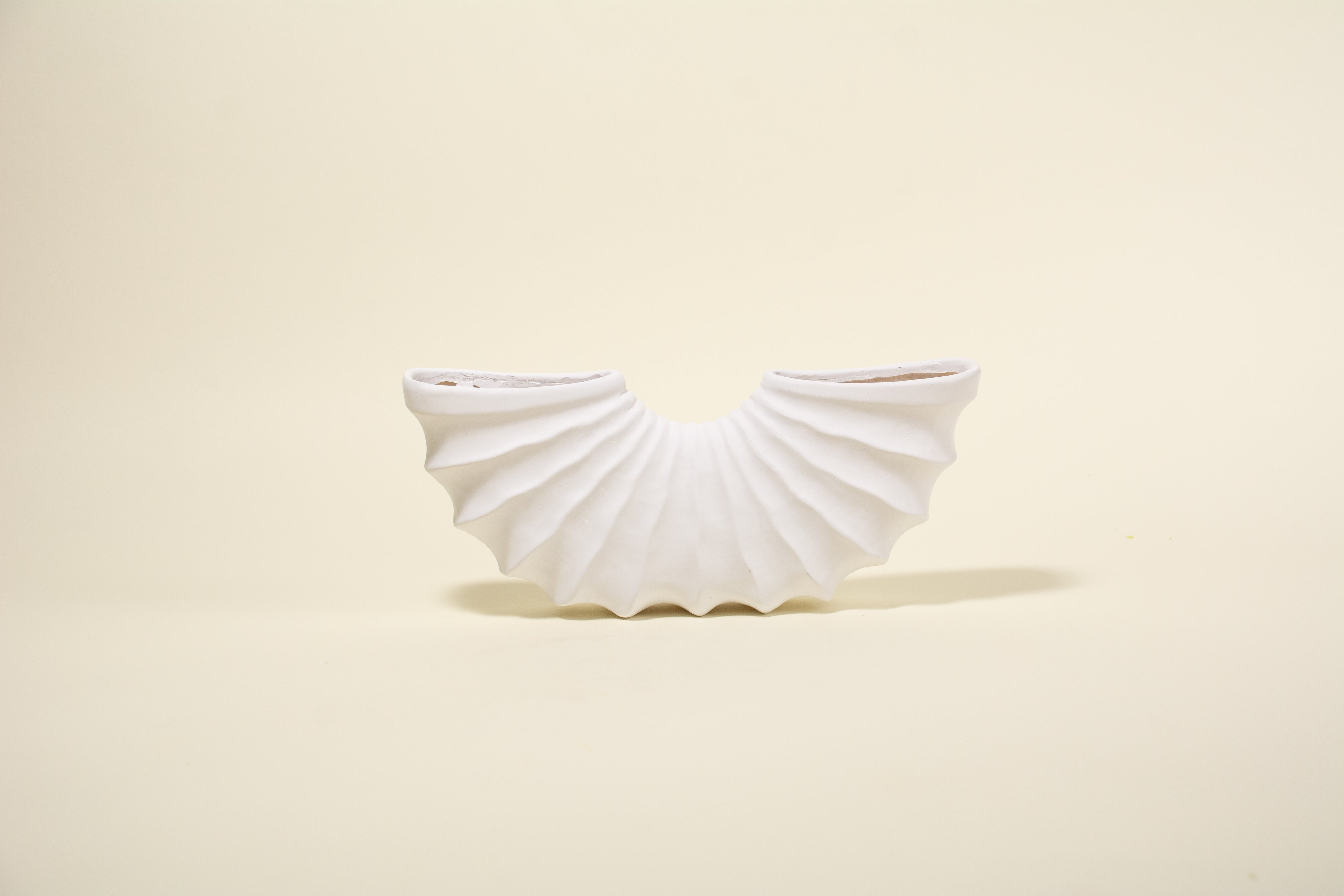 Strand Scalloped Conch Vase