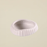 Organic White Succulent Pot